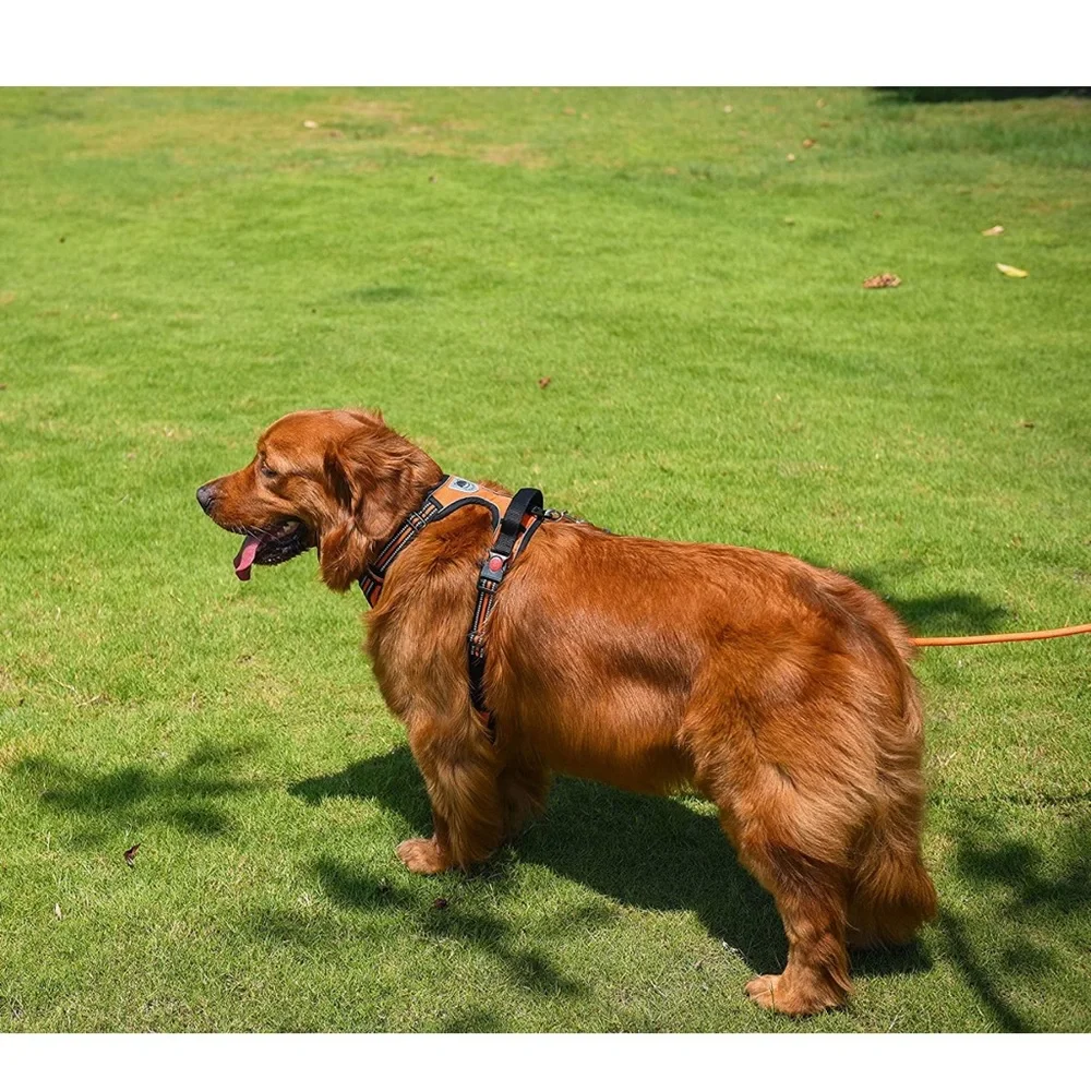 No Pull Dog Harness Leash Set, Reflective Adjustable Soft Padded Dog Vest